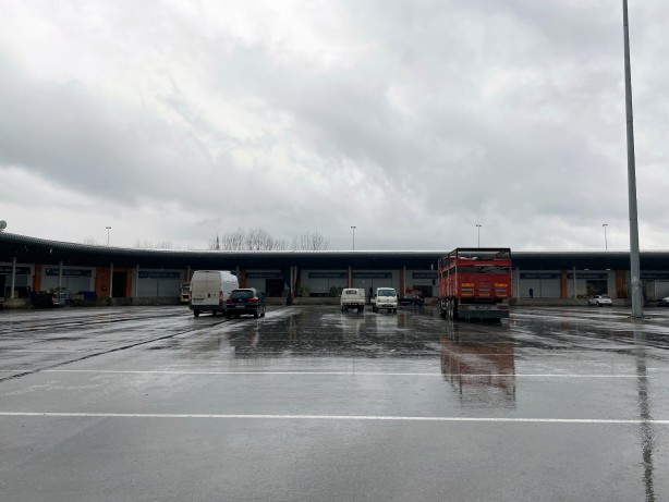 Foto - Halde mide bulandıran görüntüler! Köpeğe taciz böyle görüntülendi