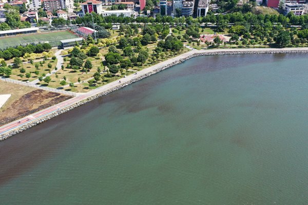 Foto - Haliç'te korkunç görüntü!