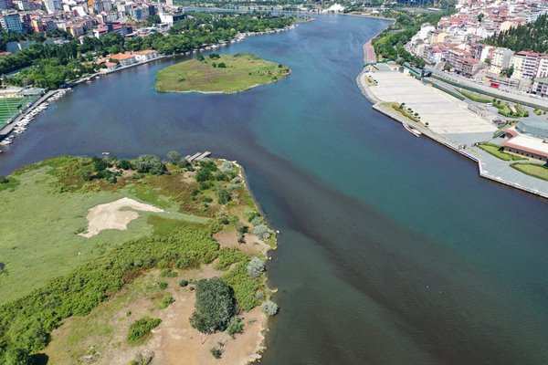 Foto - Haliç'te korkunç görüntü!