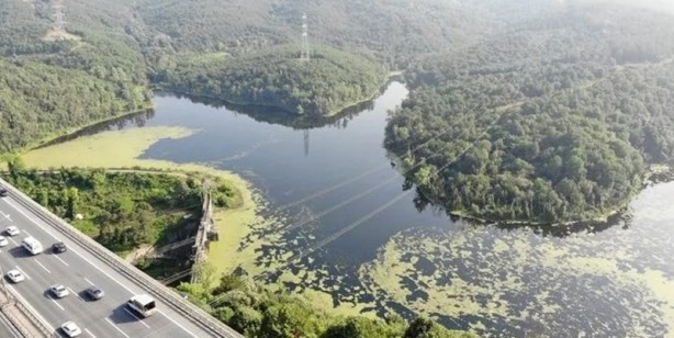 Foto - Son zamanlarda Haliç ve İstanbul Boğazı’ndaki kirlilik dikkatleri çekerken, bu sefer de Elmalı Barajı'nın yüzeyi yeşille kaplandı.