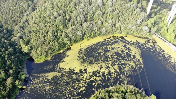 Foto - Öte yandan yeşile dönen Elmalı Barajı drone ile havadan görüntülendi.