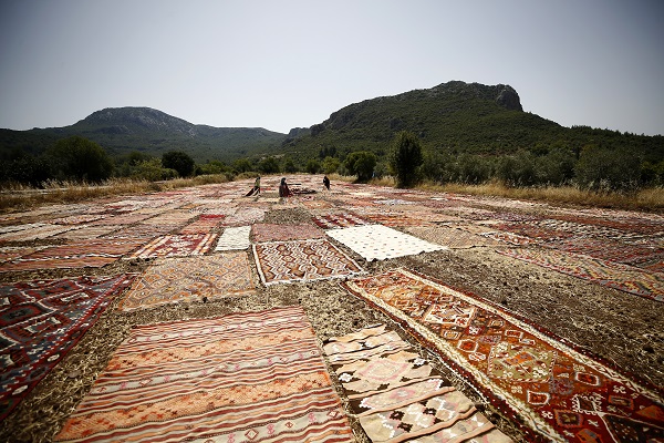 Foto - Halılar tarlalara neden seriliyor?