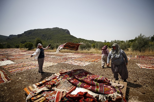 Foto - Halılar tarlalara neden seriliyor?