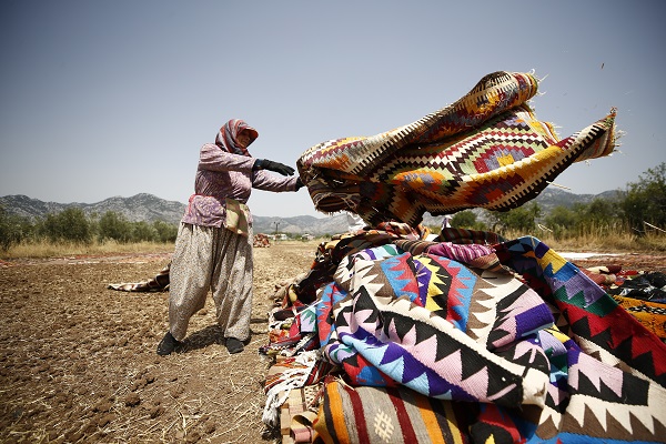 Foto - Halılar tarlalara neden seriliyor?