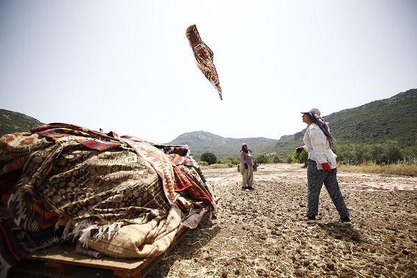 Foto - Halılar tarlalara neden seriliyor?