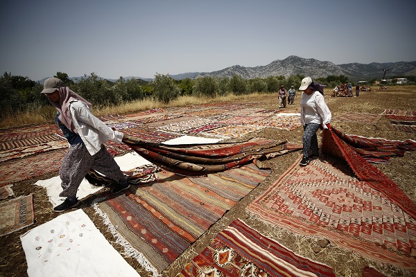 Foto - Halılar tarlalara neden seriliyor?