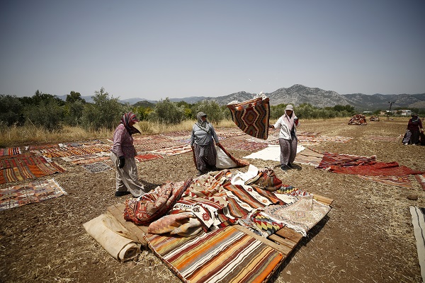 Foto - Halılar tarlalara neden seriliyor?
