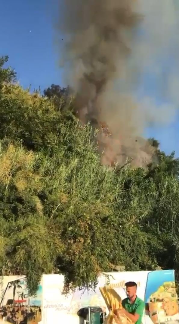 Halk plajına yakın bölgede çıkan yangın paniğe neden oldu!