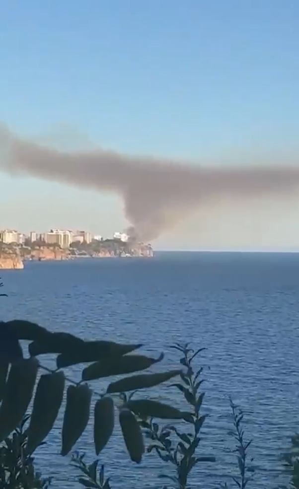 Foto - Halk plajına yakın bölgede çıkan yangın paniğe neden oldu!