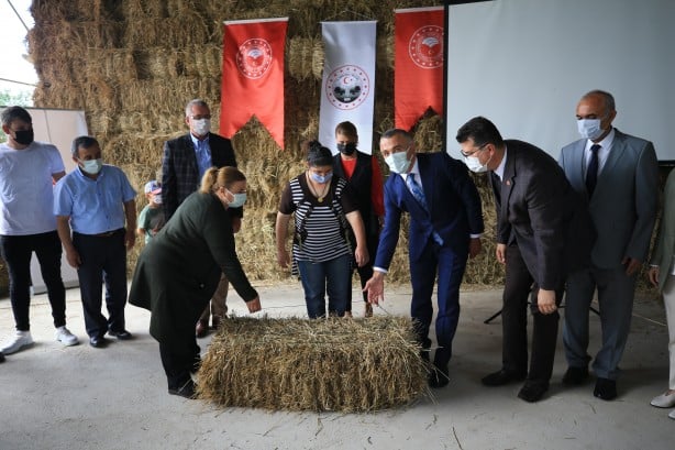 Foto - Halkalı-Kapıkule demir yolu hattında kullanıldı! Besicilere dağıtıldı