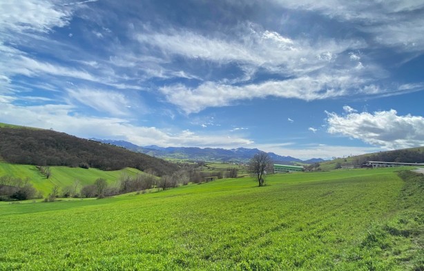 Foto - Haluk Özdil'den gündemi altüst edecek sözler! Bill Gates'in korkunç Türkiye planını açıkladı