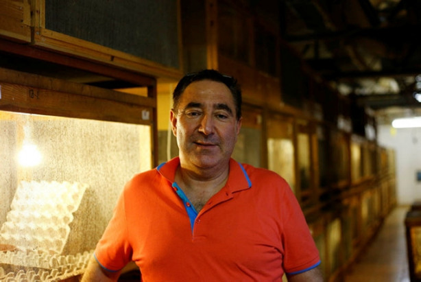 Foto - Hamam böceğinin tanesi 4 lira!