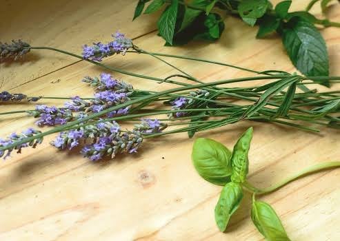 Foto - Hamam böcekleri kaçacak delik arayacak! Bunu mutfağa koyun, canına okuyor! Öyle bir topuklayacaklar ki…