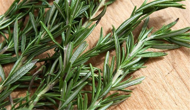 Foto - Hamam böceklerinden kurtulmanın doğal yolları