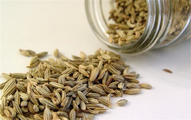 Foto - Hamam böceklerinden kurtulmanın doğal yolları