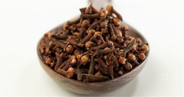 Foto - Hamam böceklerinden kurtulmanın doğal yolları