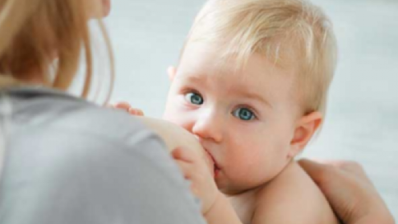 Foto - Sonbahar hamilelerine 10 öneri: 20 saniyesinde yok ediyor! Hamile kalan günde 30- 40 dakika yürüyüş yapsın