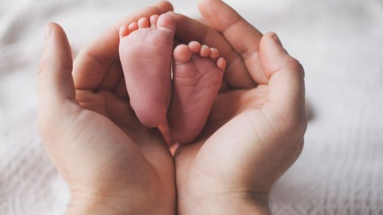 Foto - Sonbahar hamilelerine 10 öneri: 20 saniyesinde yok ediyor! Hamile kalan günde 30- 40 dakika yürüyüş yapsın