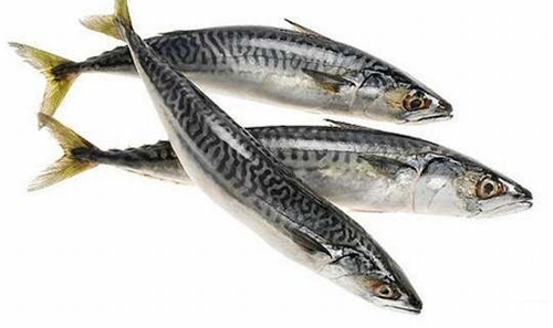 Foto - Hamileler bu besinlerden uzak durmalı!