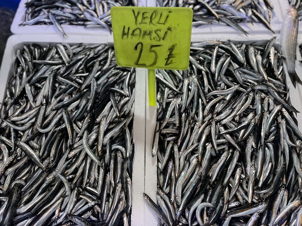 Foto - Hamsi bolluğu fiyatlara yansıdı! 