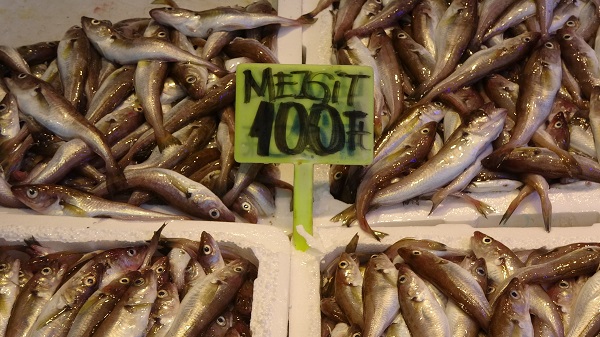 Foto - Hamsi bolluğu fiyatlara yansıdı