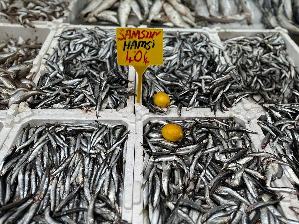 Foto - Hamsi bolluğu! İşte güncel balık fiyatı