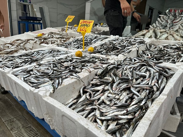 Foto - Hamsi bolluğu! İşte güncel balık fiyatı