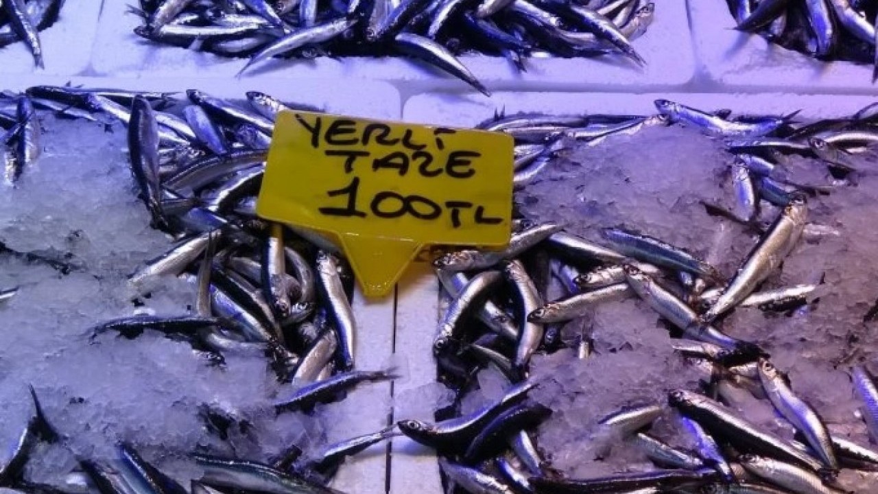 Foto - Hamsi tezgahları şenlendiriyor! Kilogram fiyatı yüzleri güldürdü