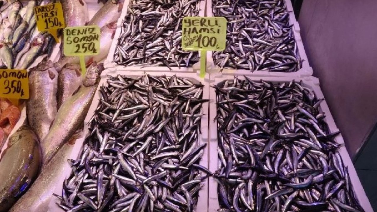 Foto - Hamsi tezgahları şenlendiriyor! Kilogram fiyatı yüzleri güldürdü