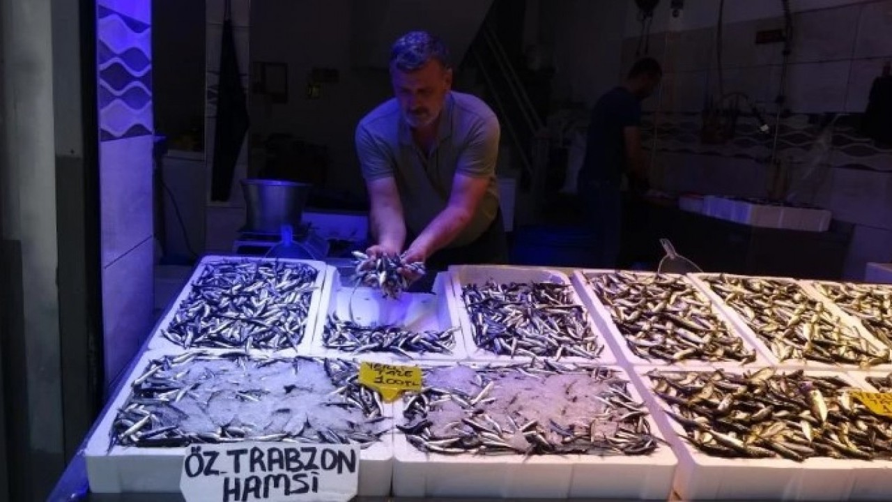Hamsi tezgahları şenlendiriyor! Kilogram fiyatı yüzleri güldürdü