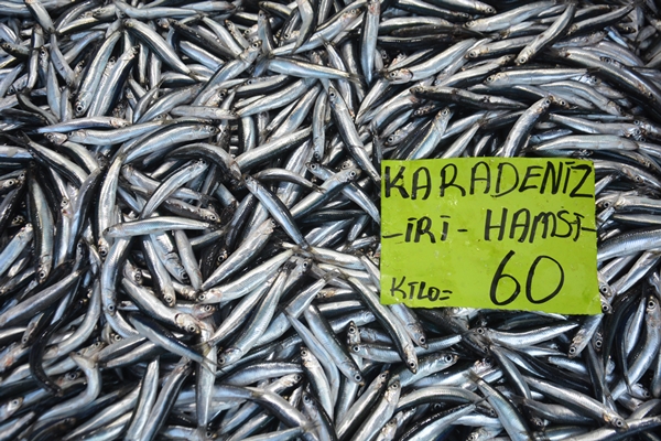 Hamsi tezgahların gözdesi oldu