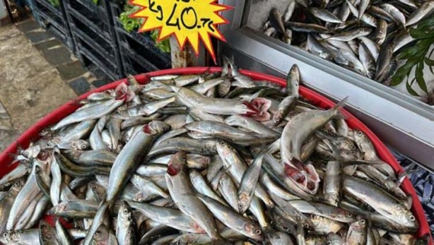 Foto - Hamsiden sonra tezgahların yeni gözdesi