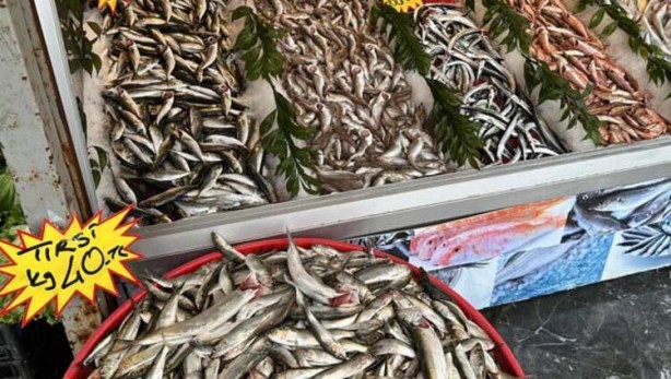 Foto - Hamsiden sonra tezgahların yeni gözdesi