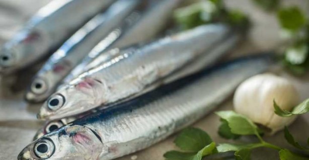 Foto - Hamsinin faydaları lezzetinden fazla çıktı! O hastalıklara kalkan oluşturuyormuş