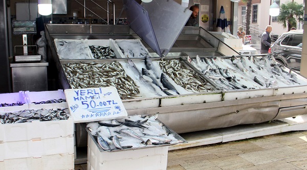 Foto - Hamsinin fiyatı düştü