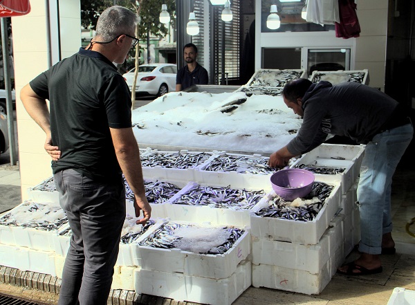 Foto - Hamsinin fiyatı düştü