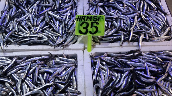 Foto - Hamsinin kilosu cep yakıyor