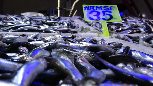 Foto - Hamsinin kilosu cep yakıyor