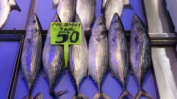 Foto - Hamsinin kilosu cep yakıyor