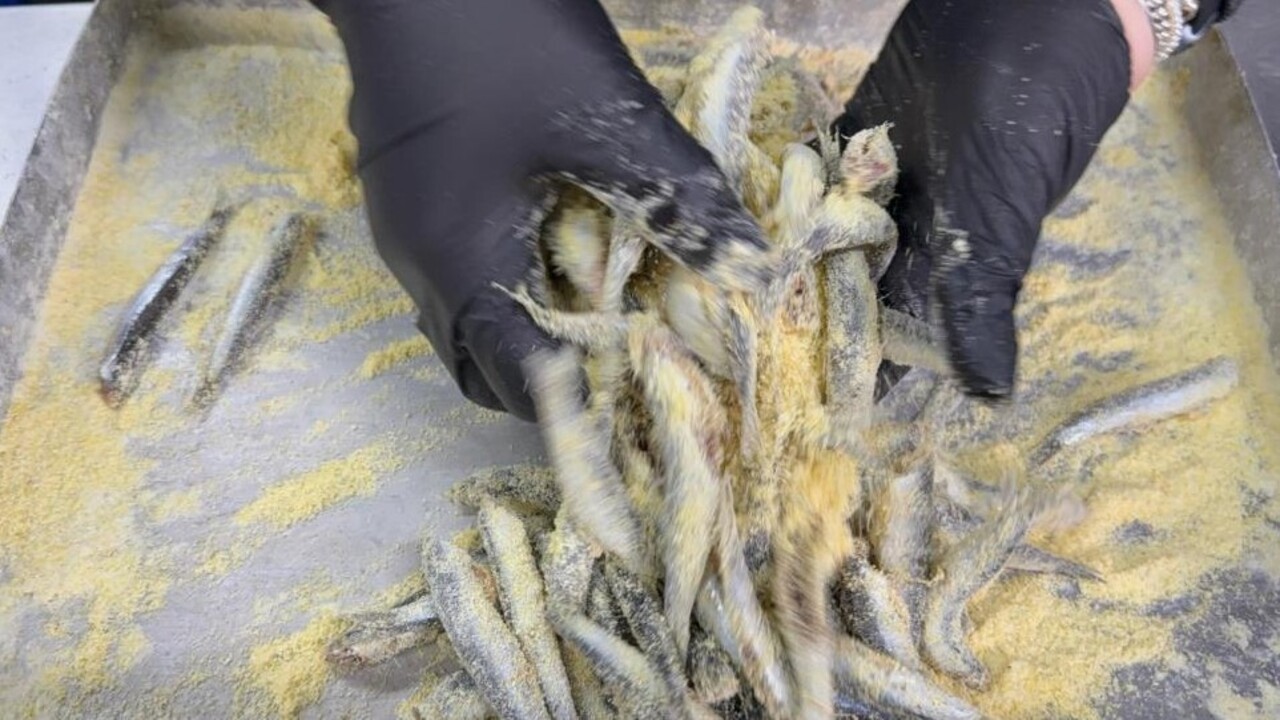 Foto - Hamsinin lezzetini arttıran tarif! Ustası pişirme tüyoları verdi