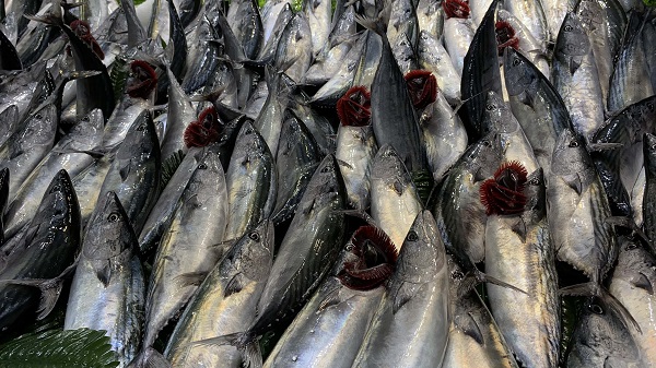 Foto - Hamsiseverleri üzecek haber geldi! 