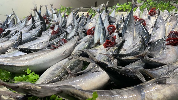 Foto - Hamsiseverleri üzecek haber geldi! 