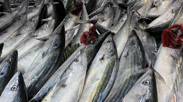Foto - Hamsiseverleri üzecek haber geldi! 
