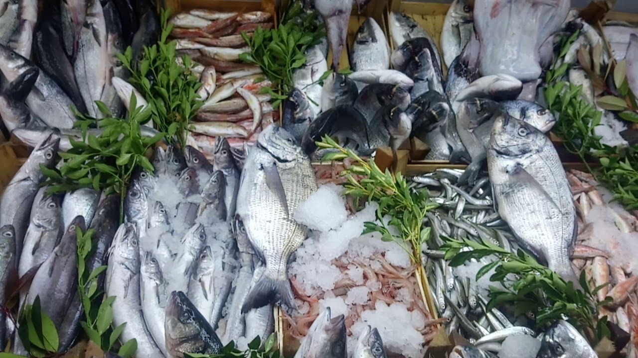 Foto - Hamsiye zam geldi!