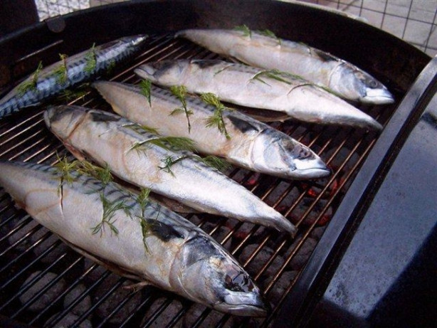 Hangi ayda hangi balık yenmeli?