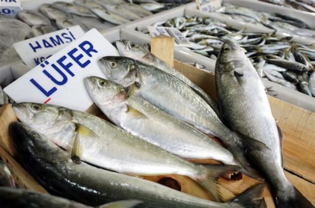 Foto - Hangi balık hangi mevsimde yenmeli?