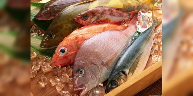 Hangi balık hangi mevsimde yenmeli?