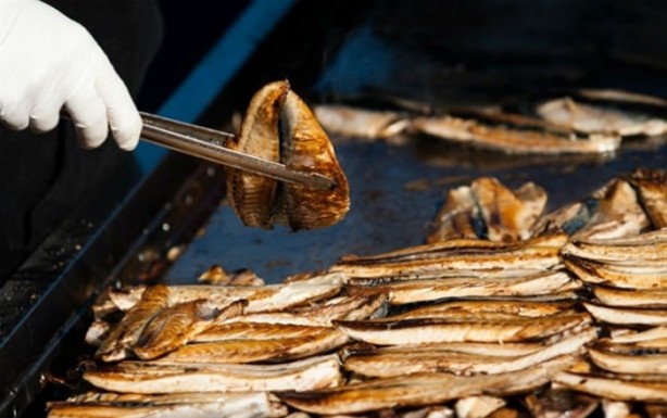 Hangi balık, ne zaman yenir?