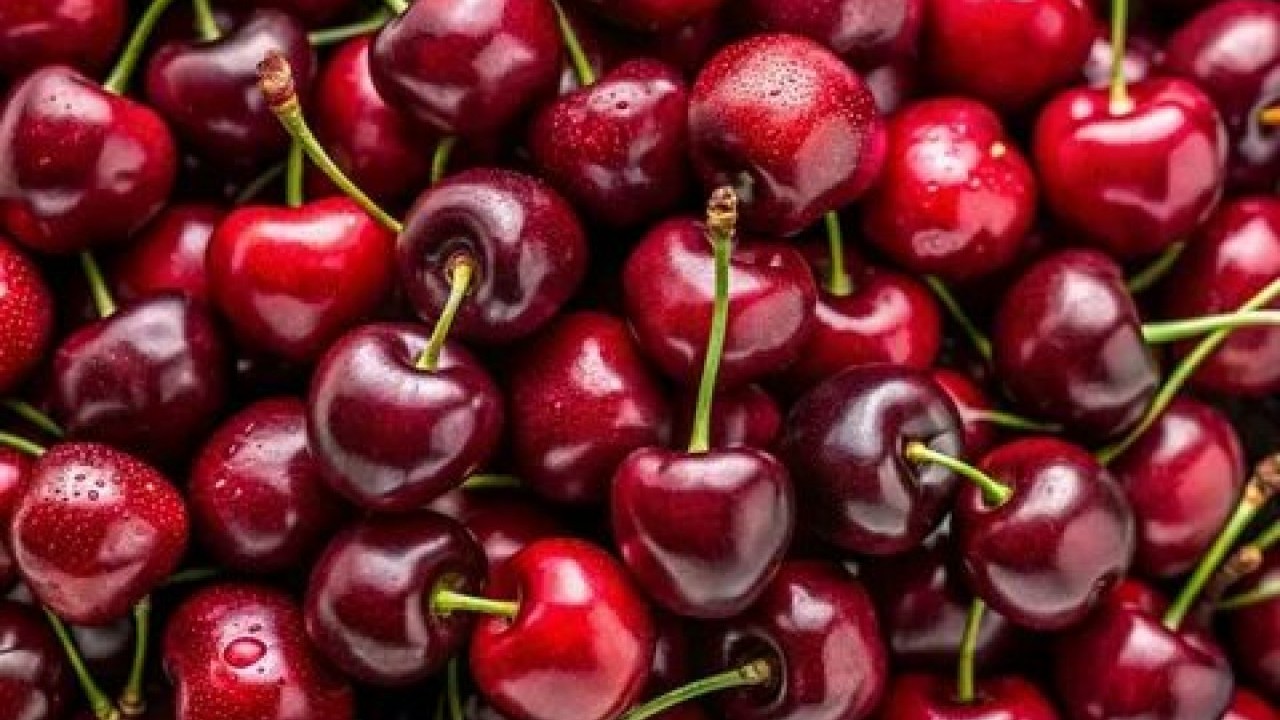 Foto - Hangi hastalığa hangi besin iyi gelir! İşte şifa kaynağı doğal çözümler!