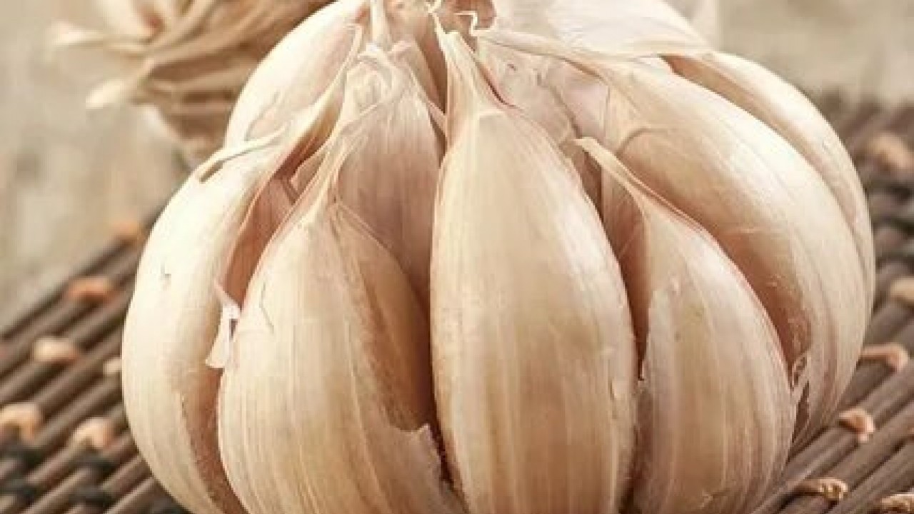 Foto - Hangi hastalığa hangi besin iyi gelir! İşte şifa kaynağı doğal çözümler!